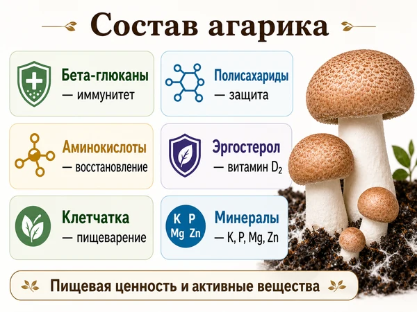 Состав и пищевая ценность агарика